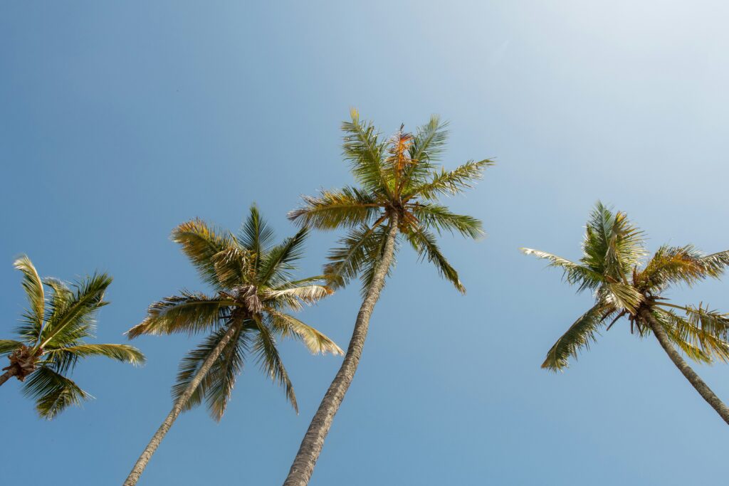 Huis kopen Spanje Costa Blanca HOLASPAIN estates makelaar vastgoed