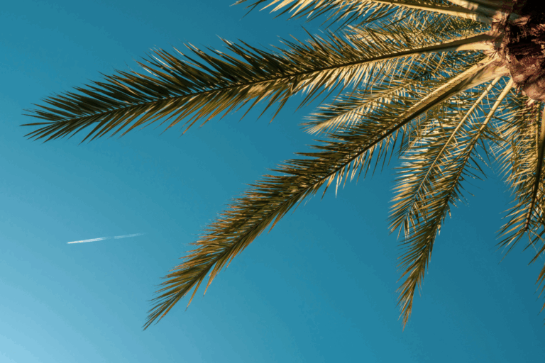 osta del Sol huis kopen Spanje HOLASPAIN estates